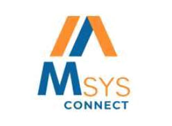 Amsys